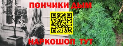 PSILOCYBIN Камышлов