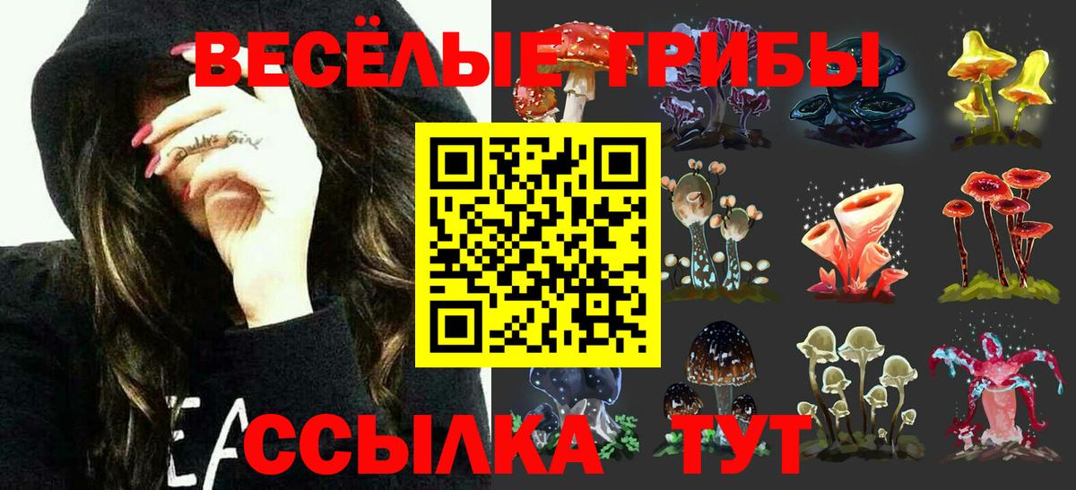 Псилоцибиновые грибы Psilocybine cubensis  Вход с VPN  Краснознаменск 