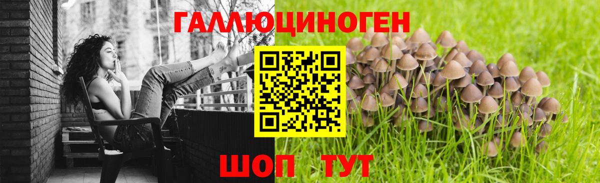 Псилоцибиновые грибы мицелий Краснознаменск